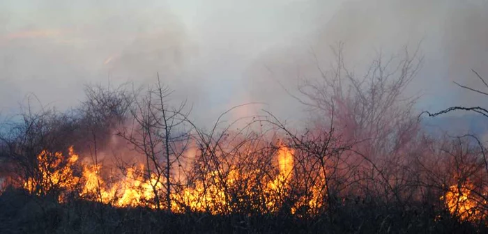 Incendiu DEVASTATOR în județul Satu Mare