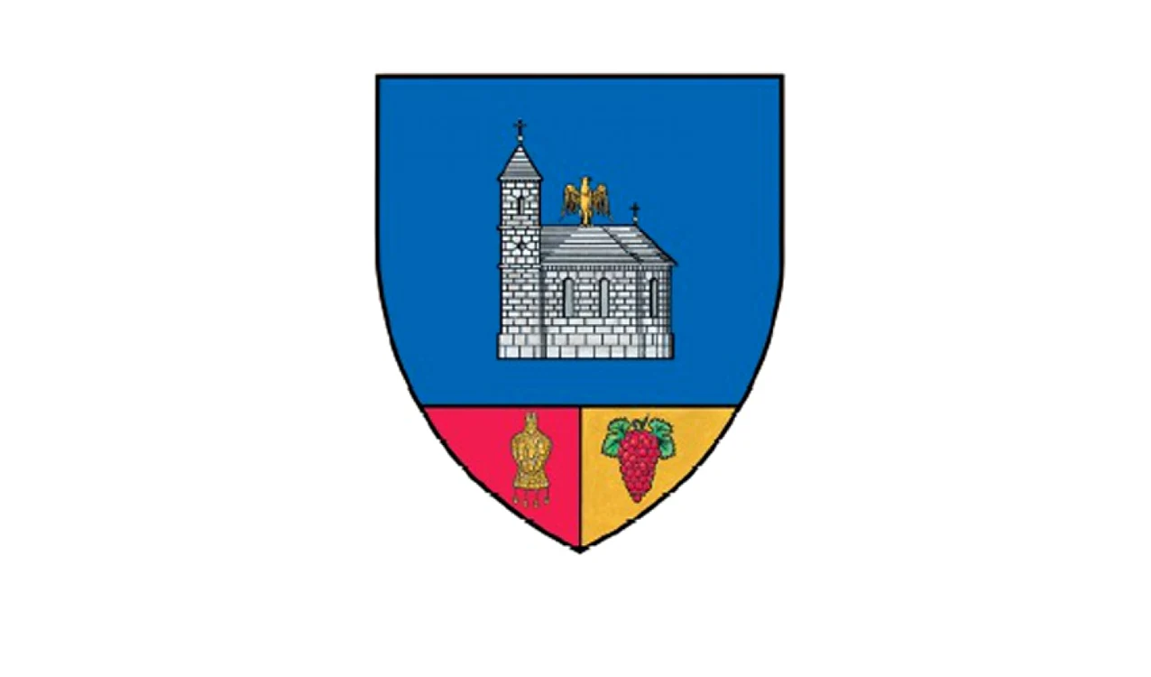 Forma finală a stemei judeţului Buzău, stabilită în 2013