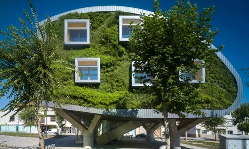 1 69695 original jpg jpeg