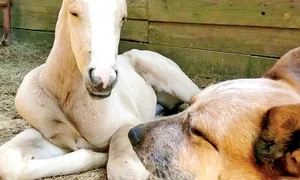 man24 g foto6 90 70 profimedia 0421337810 jpeg