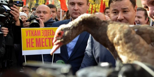 protest socialisti moldova