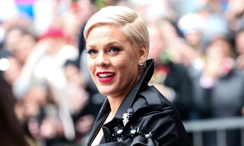 1 pink the singer profimedia 0412262272 jpg jpeg