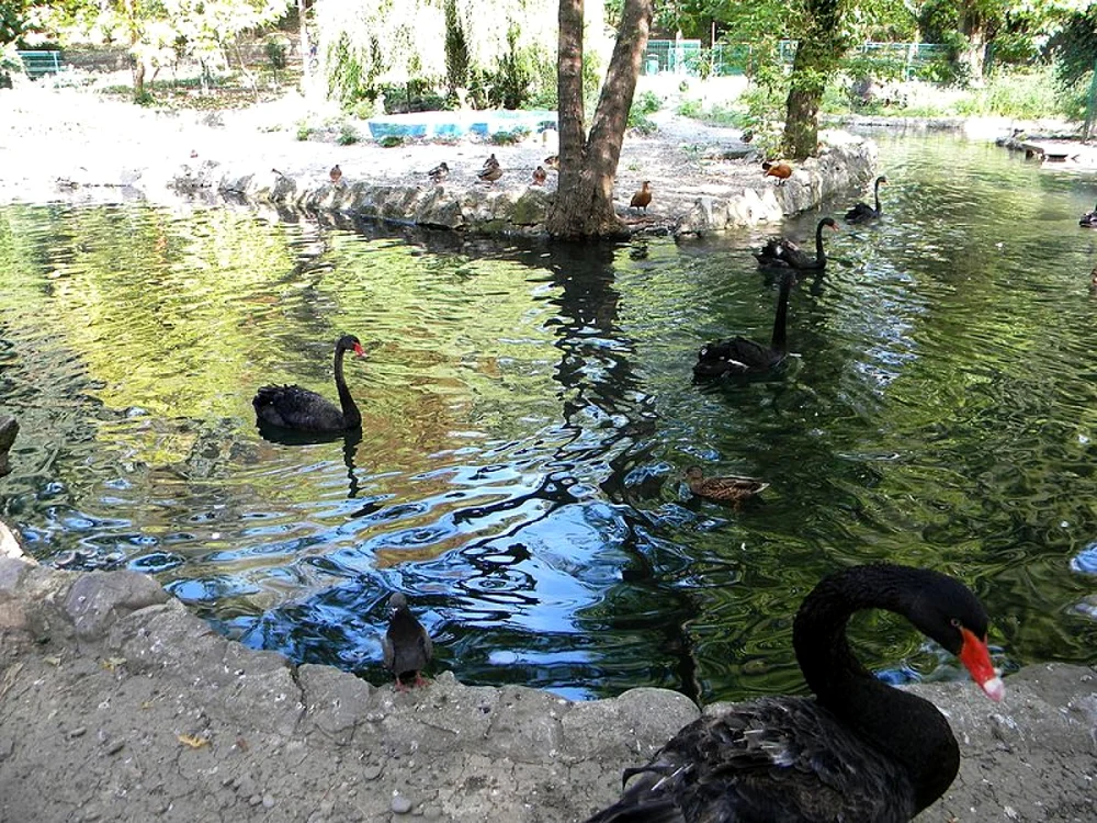 calarasi cismigiul gradina in stil englezesc foto wikipedia.org