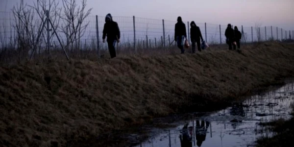 Imigranti 