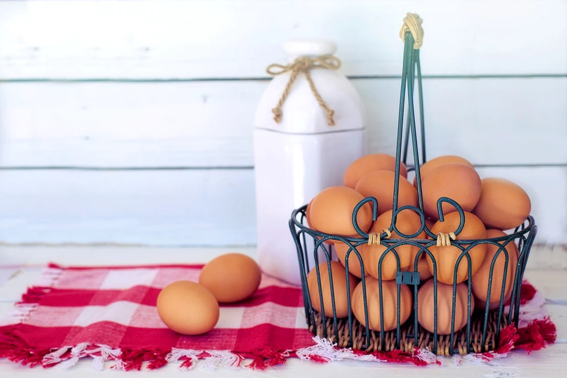 brown eggs 3217675 1920 jpg jpeg