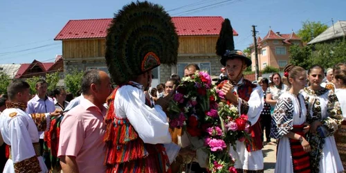 instrutatul boului bistrita  3