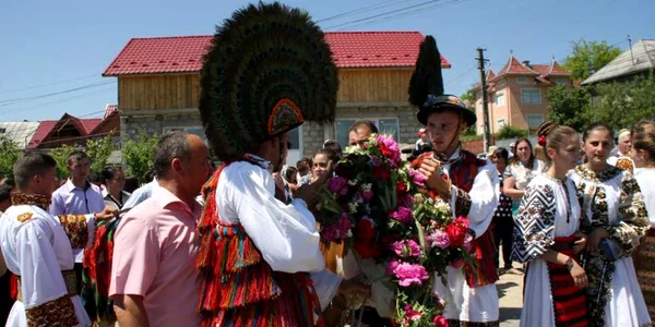 instrutatul boului bistrita  3