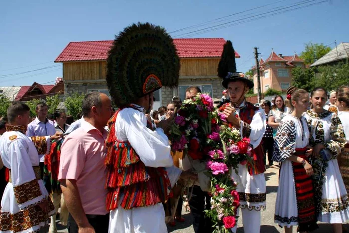 Vaca deghizată în bou a fost „condusă” de mai mulţi tineri în haine tradiţionale FOTO: Bianca Sara