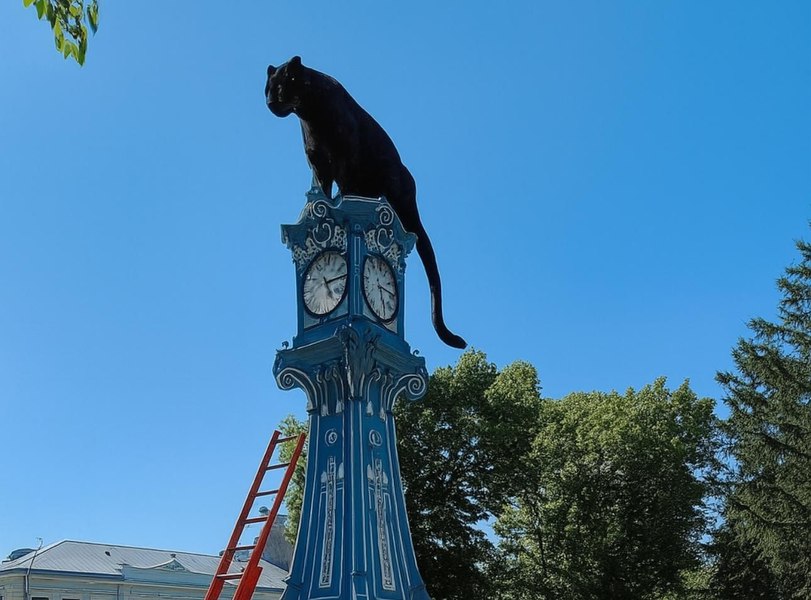 Val de meme-uri și glume pe internet cu pantera neagră în România: „Felina mănâncă mici la o terasă”. DSU: E sigură treaba asta? Nu-i pisica lui vecinu’?