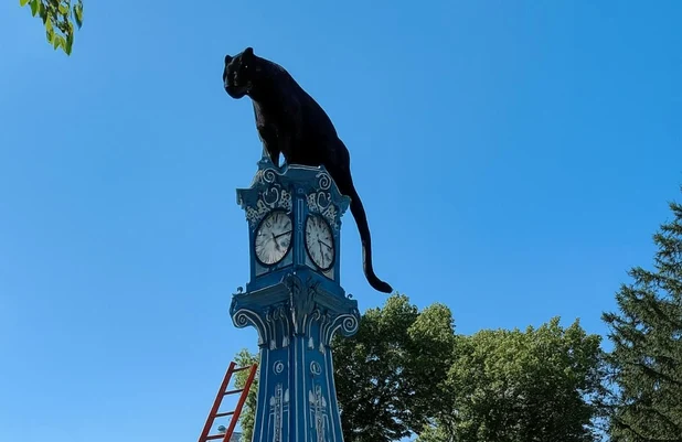 Pantera, salvată de pompieri de pe ceasul turn din Brăila FOTO: FB