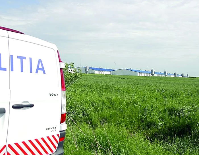 Accidentul de muncă a avut loc la fermele Smithfield din Timiş