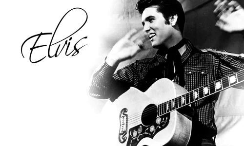 Discurile care l au influenţat pe Elvis Presley, scoase la licitaţie jpeg