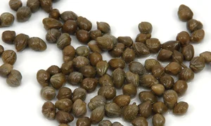 Condimentul plin de vitamine care previne constipaţia şi ameliorează durerile de stomac jpeg
