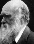 Ce credeau Darwin și adepții săi despre rasele umane jpeg