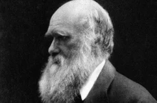 Ce credeau Darwin și adepții săi despre rasele umane jpeg