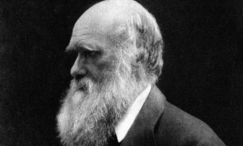 Ce credeau Darwin și adepții săi despre rasele umane jpeg