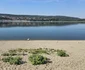 Dunărea la Zimnicea  Foto Primăria Zimnicea  Facebook (5) jpg