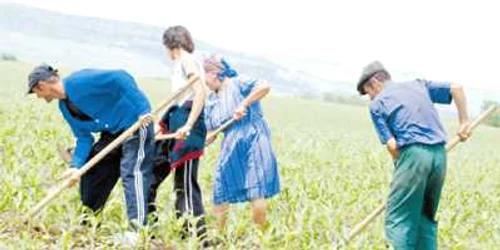 Deşi are potenţial agricol, Călăraşiul valorează puţin