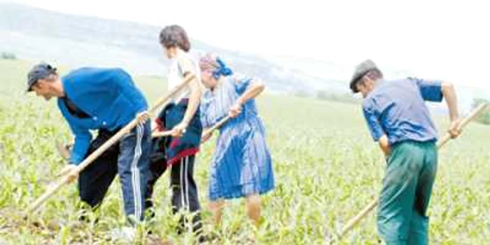 Deşi are potenţial agricol, Călăraşiul valorează puţin