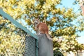 motan portocaliu shutterstock jpg