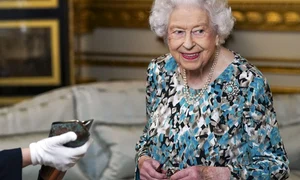 regina elisabeta jpg