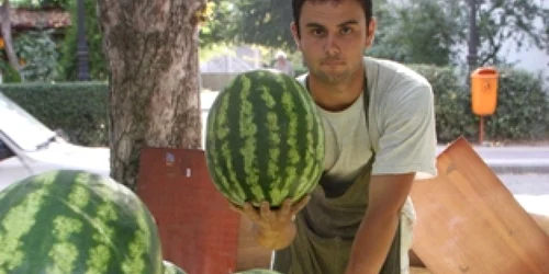 Galaţi: Viitorii ingineri îşi asigură existenţa ca vânzători de pepeni