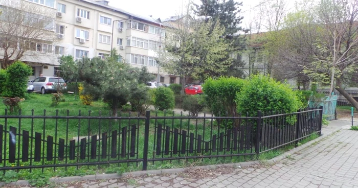 Terenul pe care silvicultorul vrea să onstruiescă un bloc