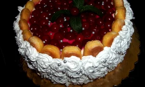 tort cu piscoturi visine si frisca jpeg