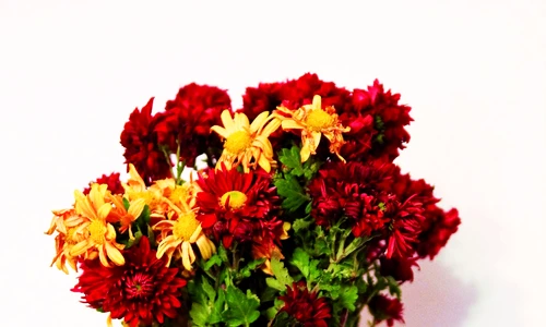 1 60357 original jpg jpeg