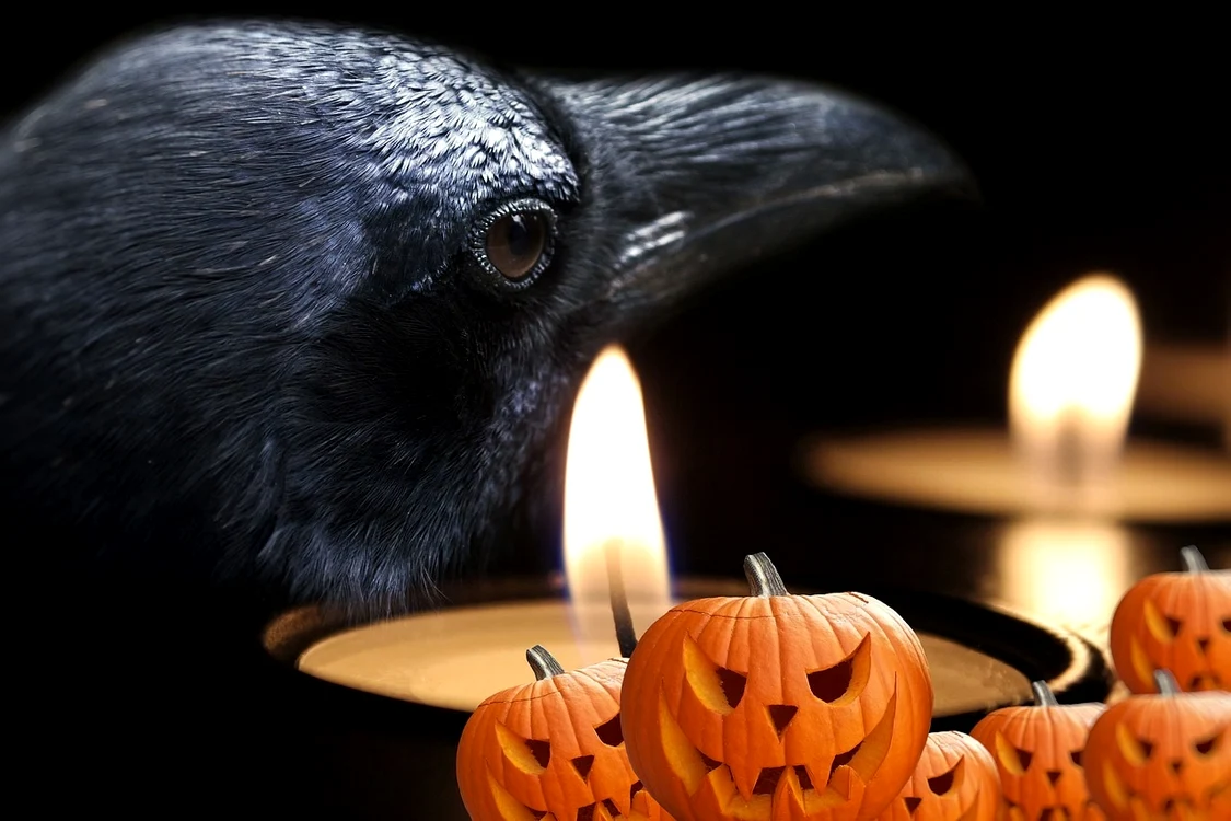 1 superstitii de halloween jpg jpeg