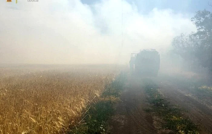 Incendiu intr-un lan de grau din Ucraina FOTO Zerkalo Nedeli