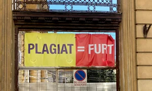 p 24 M Plesu jpg