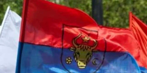 PSD a ales drept simbol așa-numitul drapel al Moldovei medievale