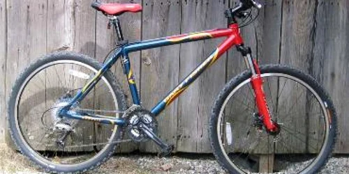 Bacău: La doar 13 ani, hoţi de biciclete