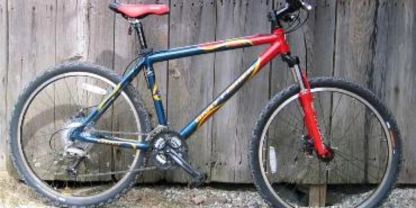 Bacău: La doar 13 ani, hoţi de biciclete
