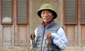 cele mai lungi unghii guinness jpg