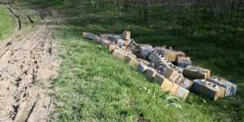 Ţigările erau transportate în colete FOTO