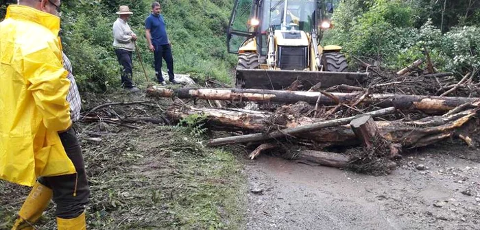 Furtuna a rupt copaci şi a provocat un incendiu