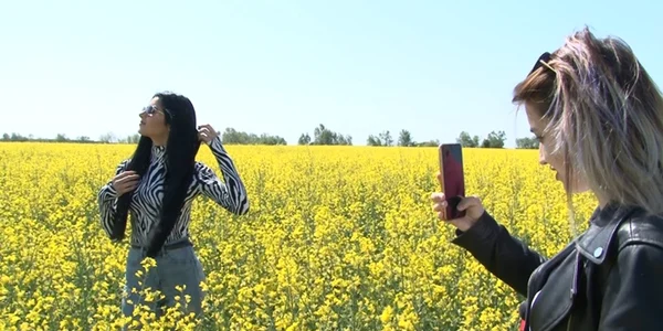 Selfie în rapiţă FOTO Opiniatimisoarei.ro