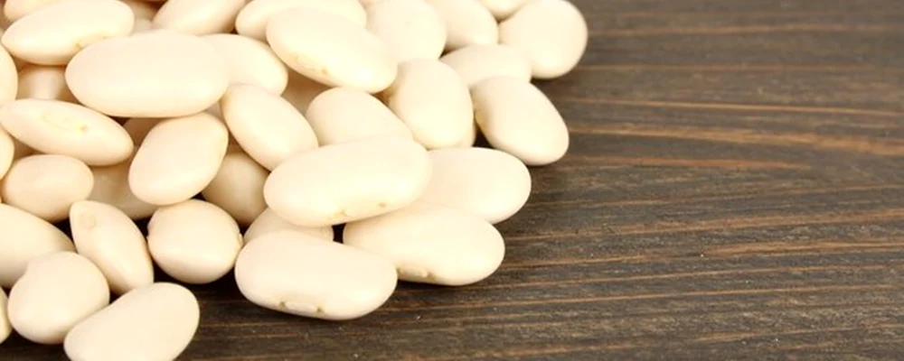 fasole adobestock jpg