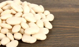 fasole adobestock jpg