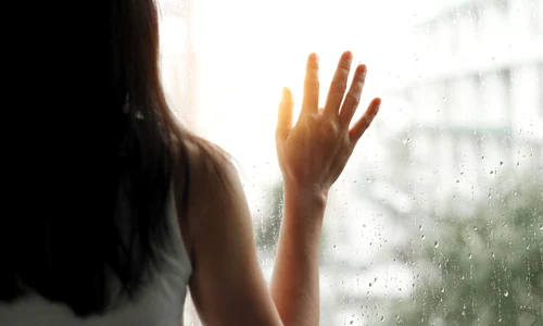 shutterstock 635037578 jpg