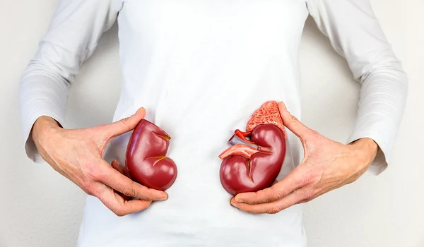 1 rinichi care sufera jpg jpeg