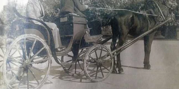 lazarescu focsani