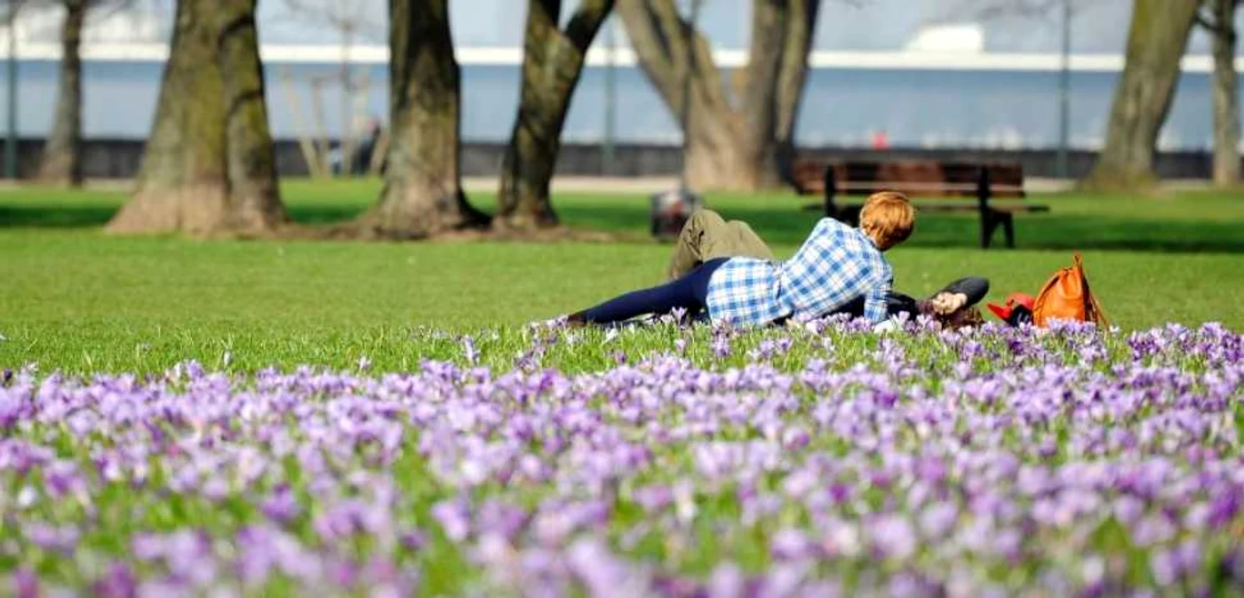 Specialiştii anunţă că în următoarele trei luni temperaturile vor fi apropiate de cele normale