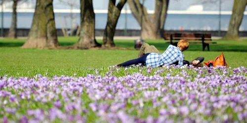 Un cuplu se bucură de flori şi primăvară la Dusseldorf