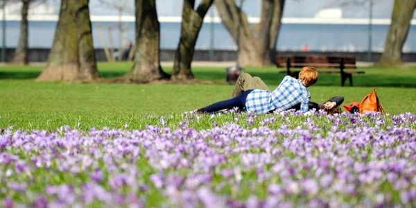 Un cuplu se bucură de flori şi primăvară la Dusseldorf
