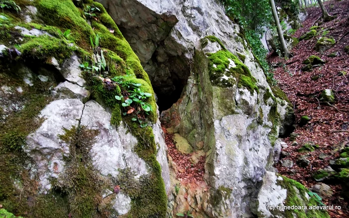 Grotă de la Valea Rea. Foto: Daniel Guță