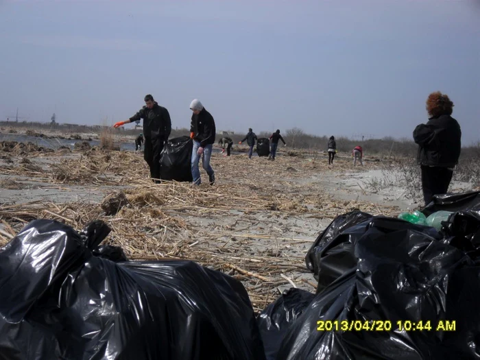 Ecologizarea plajei Sulina FOTO ARBDD