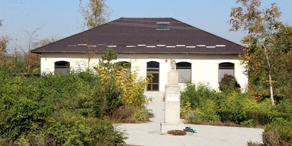 muzeu stefan luchian